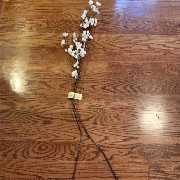 Cost Plus World Market Other - 2 Floral Stems - World Market